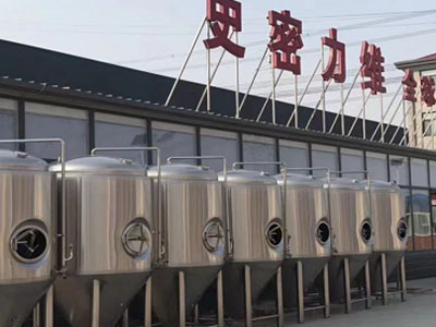 尧都精酿啤酒设备厂—如何判断精酿啤酒设备的密封件需要更换？